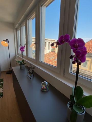 Apartamento Mandi Mandi Cavour Údine Exterior foto